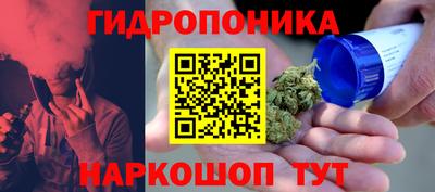 индика Кимры